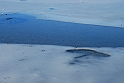 Lago Piccolo di Avigliana ghiacciato_021